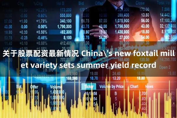 关于股票配资最新情况 China's new foxtail millet variety sets summer yield record