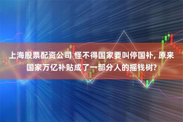 上海股票配资公司 怪不得国家要叫停国补, 原来国家万亿补贴成了一部分人的摇钱树?